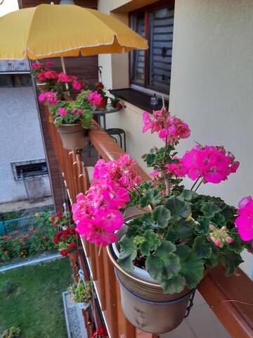 Фото Проживание в семье Apartament Maksymiliana г. Бельско-Бяла 3